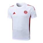 Maglia 2025 2026 - Maglia Bayern München Allenamento | itmagliettecalcio