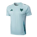 Maglia 2025 2026 Verde - Maglia Cruzeiro EC Allenamento | itmagliettecalcio