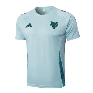 Maglia 2025 2026 Verde - Maglia Cruzeiro EC Allenamento | itmagliettecalcio