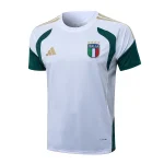 Maglia 2026 Verde - Maglia Italia Allenamento | itmagliettecalcio