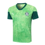 Maglia 2025 2026 Verde - Maglia Allenamento Palmeiras | itmagliettecalcio