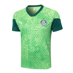 Maglia 2025 2026 Verde - Maglia Allenamento Palmeiras | itmagliettecalcio