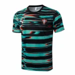 Maglia 2026 Verde - Maglia Portogallo Allenamento | itmagliettecalcio