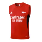 Maglia 2025 2026 - Maglia Arsenal Allenamento | itmagliettecalcio