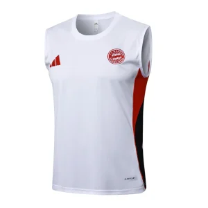 Maglia 2025 2026 - Maglia Bayern München Allenamento | itmagliettecalcio