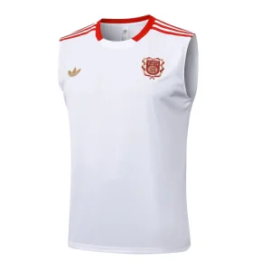 Maglia 2025 2026 - Maglia Bayern München Allenamento | itmagliettecalcio