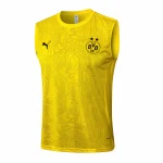 Maglia 2024 2025 - Maglia Bv Borussia Dortmund Allenamento | itmagliettecalcio