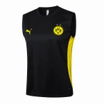 Maglia 2024 2025 - Maglia Bv Borussia Dortmund Allenamento | itmagliettecalcio