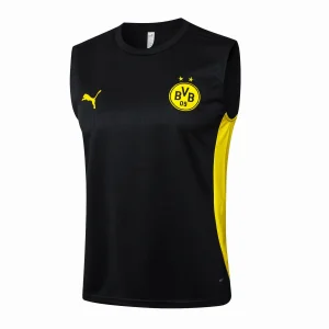 Maglia 2024 2025 - Maglia Bv Borussia Dortmund Allenamento | itmagliettecalcio
