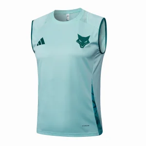 Maglia 2025 2026 Verde - Maglia Cruzeiro EC Allenamento | itmagliettecalcio