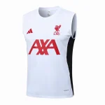 Maglia 2025 2026 - Maglia Liverpool Allenamento | itmagliettecalcio