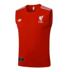 Maglia 2025 2026 - Maglia Liverpool Allenamento | itmagliettecalcio