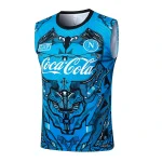 Maglia 2025 2026 - Maglia Ssc Napoli Allenamento | itmagliettecalcio