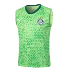 Maglia 2025 2026 Verde - Maglia Allenamento Palmeiras | itmagliettecalcio