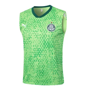 Maglia 2025 2026 Verde - Maglia Allenamento Palmeiras | itmagliettecalcio