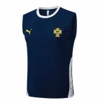 Maglia 2026 - Maglia Portogallo Allenamento | itmagliettecalcio