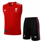 Maglia 2025 2026 - Maglia Liverpool Allenamento | itmagliettecalcio