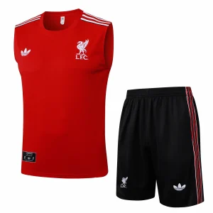 Maglia 2025 2026 - Maglia Liverpool Allenamento | itmagliettecalcio