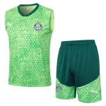 Maglia 2025 2026 Verde - Maglia Allenamento Palmeiras | itmagliettecalcio