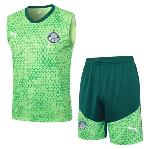 Maglia 2025 2026 Verde - Maglia Allenamento Palmeiras | itmagliettecalcio