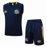 Maglia 2025 2026 - Maglia Santos Allenamento | itmagliettecalcio
