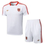 Maglia 2025 2026 - Maglia Bayern München Allenamento | itmagliettecalcio