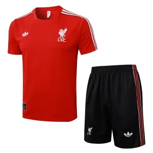 Maglia 2025 2026 - Maglia Liverpool Allenamento | itmagliettecalcio