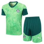 Maglia 2025 2026 Verde - Maglia Allenamento Palmeiras | itmagliettecalcio