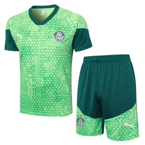 Maglia 2025 2026 Verde - Maglia Allenamento Palmeiras | itmagliettecalcio