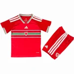 Maglia 2026 Casa - Maglia Galles Bambini | itmagliettecalcio