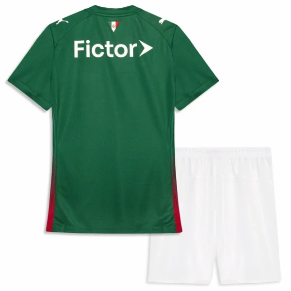 Palmeiras Maglia 2026 2027 Casa Verde - Maglia Palmeiras | itmagliettecalcio