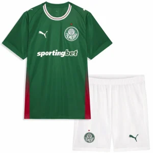 Palmeiras Maglia 2026 2027 Casa Verde - Maglia Palmeiras | itmagliettecalcio