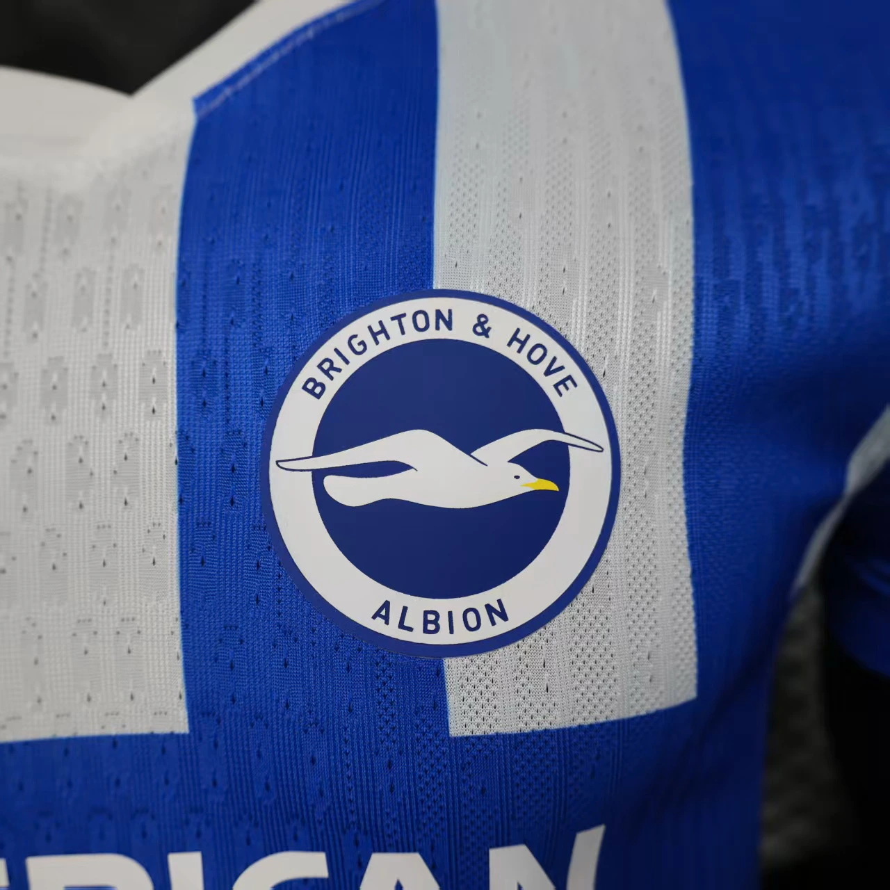 Maglia 2025 2026 Casa - Brighton & Hove Albion Maglia | itmagliettecalcio
