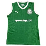 Palmeiras Maglia 2025 2026 Casa Verde - Maglia Palmeiras | itmagliettecalcio