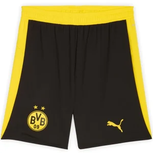 Bv Borussia Dortmund Maglia 2025 2026 Casa - Maglia Bv Borussia Dortmund | itmagliettecalcio