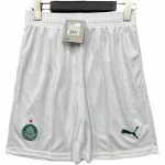 Palmeiras Maglia 2025 2026 Casa - Maglia Palmeiras | itmagliettecalcio