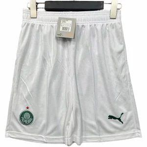Palmeiras Maglia 2025 2026 Casa - Maglia Palmeiras | itmagliettecalcio