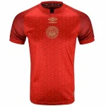 Maglia 2024 2025 - Afc Bournemouth Maglia | itmagliettecalcio
