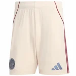 Ajax Maglia 2025 2026 - Maglia Ajax | itmagliettecalcio