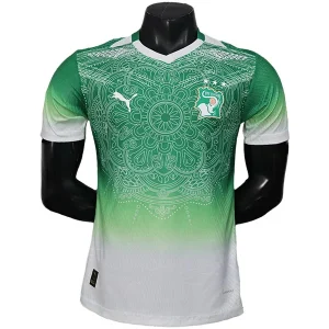 Costa D'avorio Maglia 2026 Verde - Maglia Costa D'avorio | itmagliettecalcio