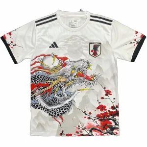 Giappone Maglia 2026 - Maglia Giappone Calcio | itmagliettecalcio
