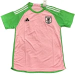 Giappone Maglia 2026 Rosa - Maglia Giappone Calcio | itmagliettecalcio