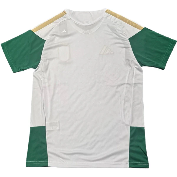 Italia Maglia 2026 Verde - Maglia Italia 2026 | itmagliettecalcio