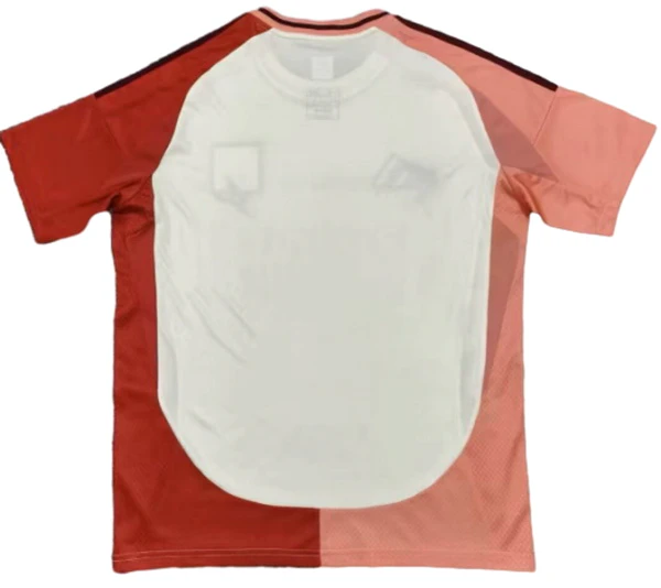 Lyonnais Maglia 2024 2025 - Maglia Olympique Lyonnais | itmagliettecalcio