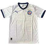 Maglia 2025 2026 - Ec Bahia 2026 | itmagliettecalcio