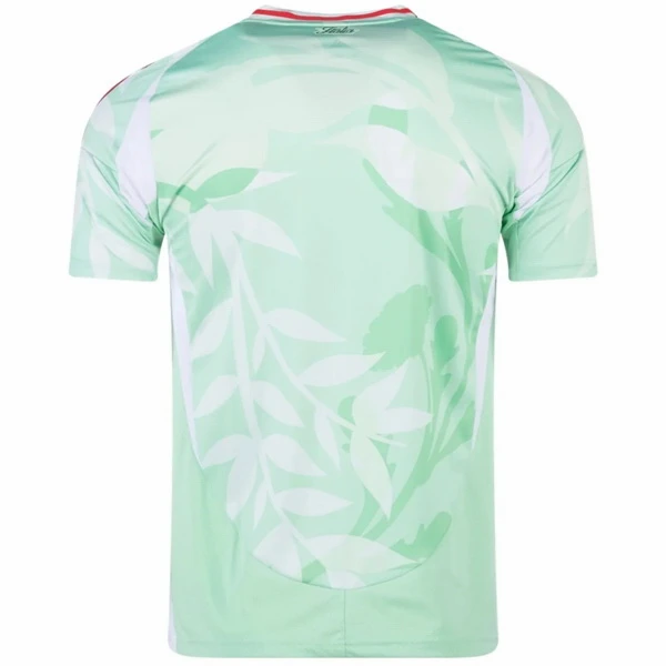 Italia Maglia 2025 Verde - Maglia Italia 2026 | itmagliettecalcio
