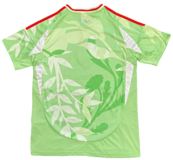 Italia Maglia 2025 Verde - Maglia Italia 2026 | itmagliettecalcio