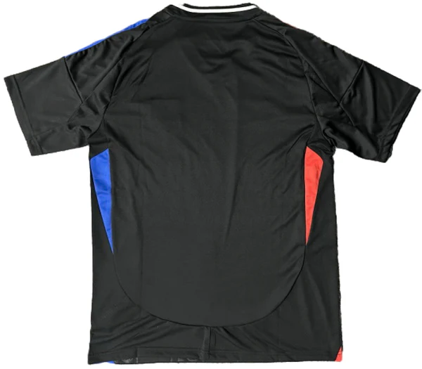 Lyonnais Maglia 2024 2025 - Maglia Olympique Lyonnais | itmagliettecalcio
