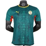 Senegal Maglia 2026 Verde - Maglia Senegal | itmagliettecalcio