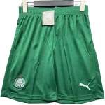 Palmeiras Maglia 2025 2026 Verde - Maglia Palmeiras | itmagliettecalcio